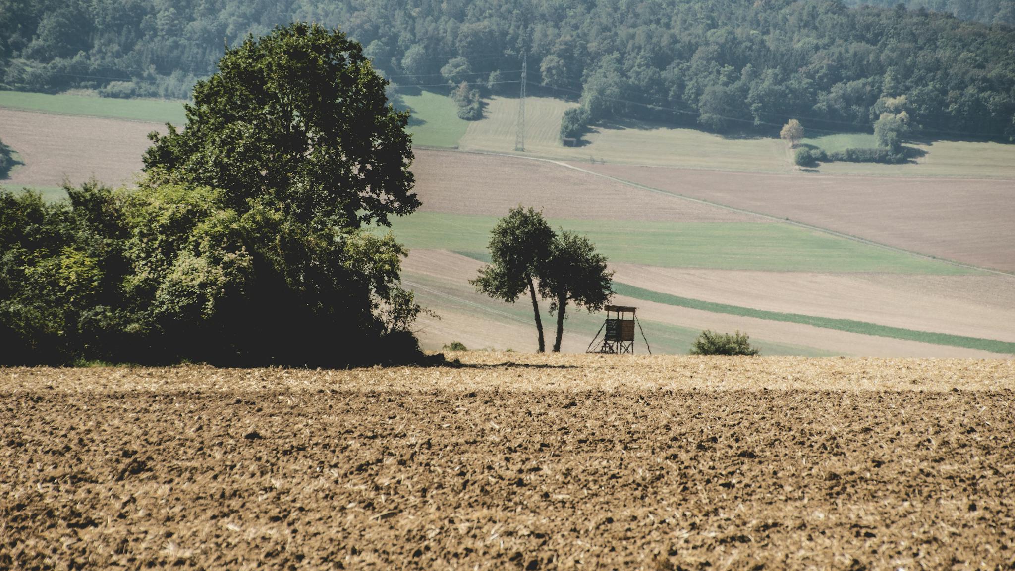 Scenic rural landscape with plowed field and forest in the background.