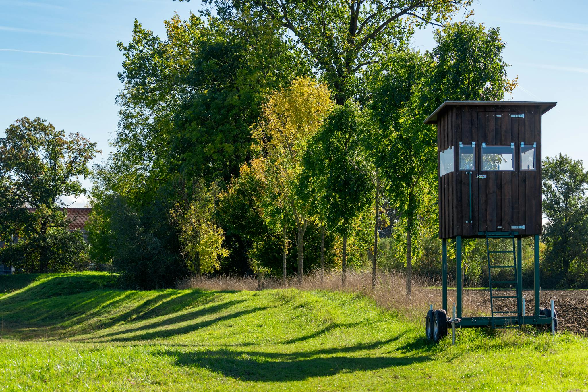 Scenic view of a wooden hunting tower surrounded by vibrant green trees and sunny blue sky.